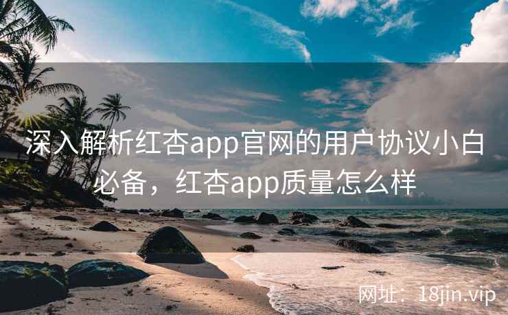 深入解析红杏app官网的用户协议小白必备，红杏app质量怎么样